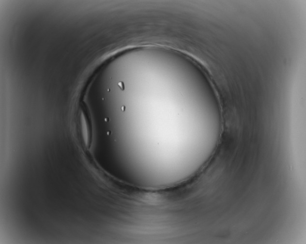 X0000089901507200707121840