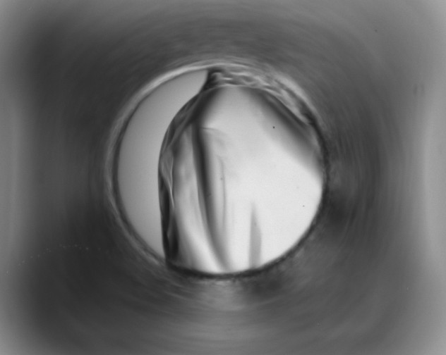X0000089901508200707121840