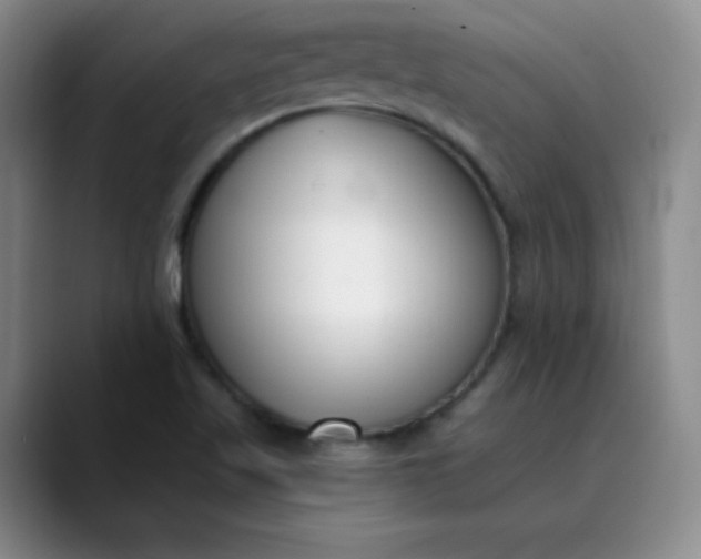 X0000089901509200707121840