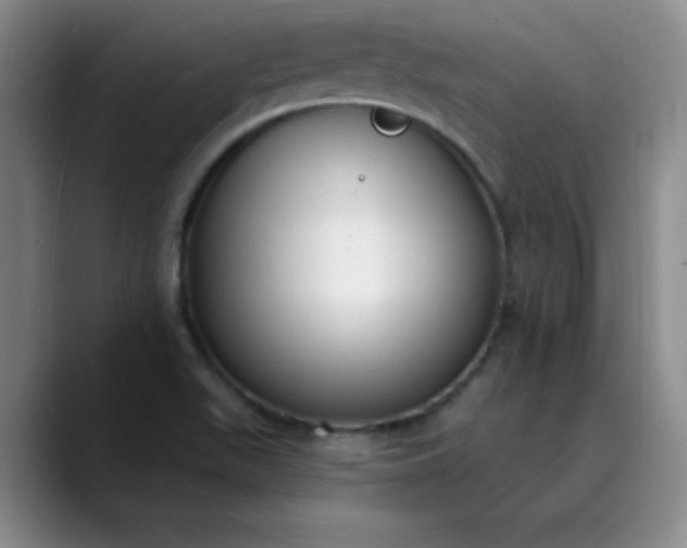 X0000089901511200707121840