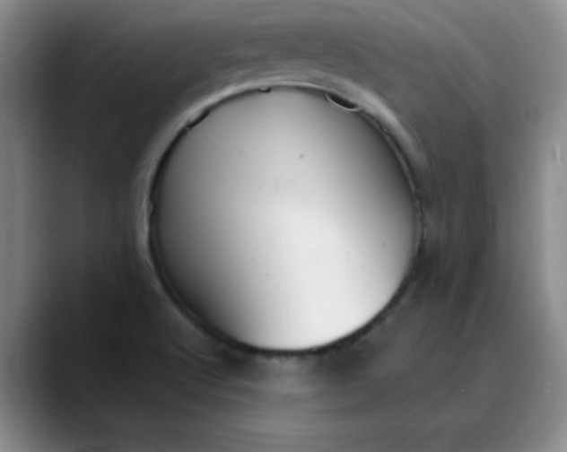 X0000089901512200707121840