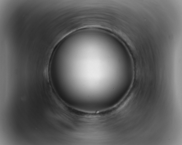 X0000089901513200707121840