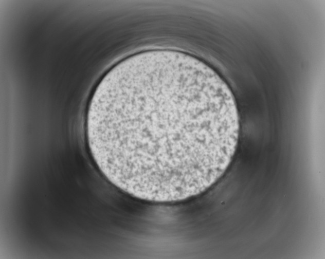 X0000089901514200707121840