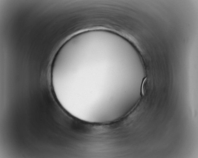 X0000089901516200707121840