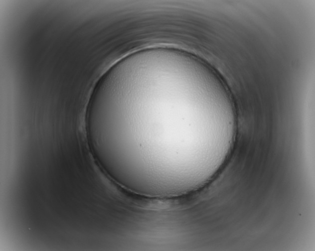 X0000089901521200707121840