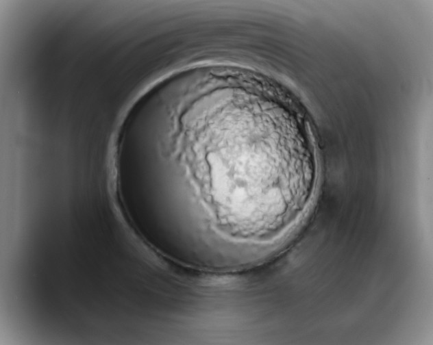 X0000089901522200707121840