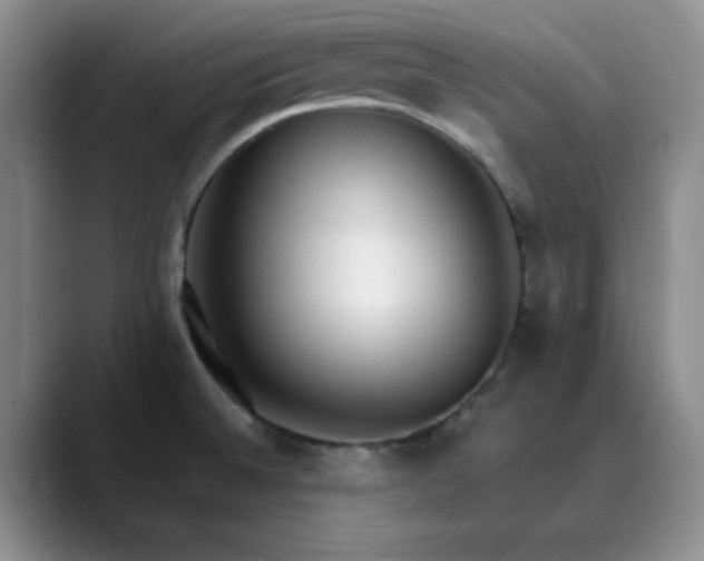 X0000089901524200707121840