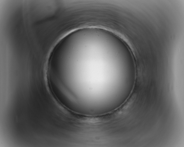 X0000089901525200707121840