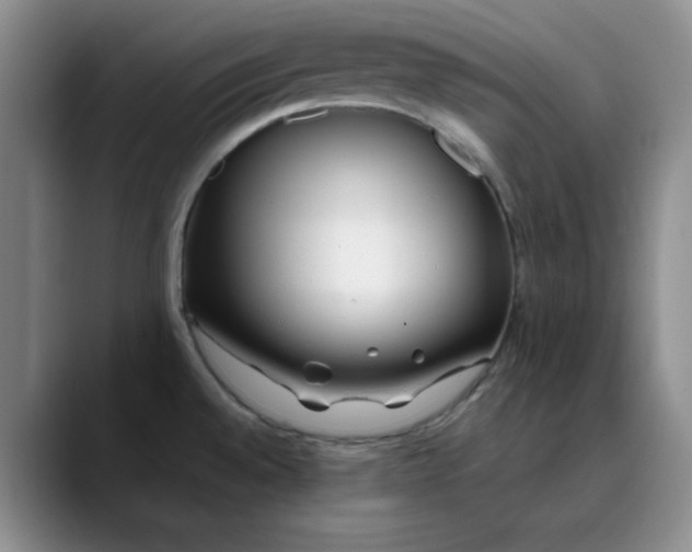 X0000089901528200707121840