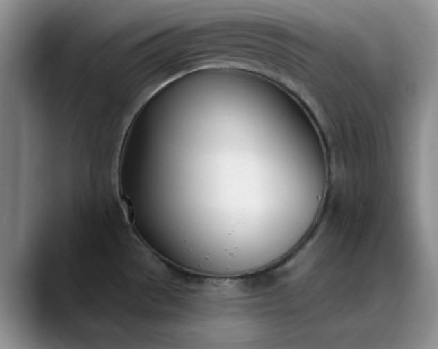 X0000089901529200707121840