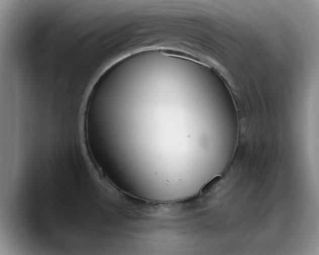 X0000089901530200707121840