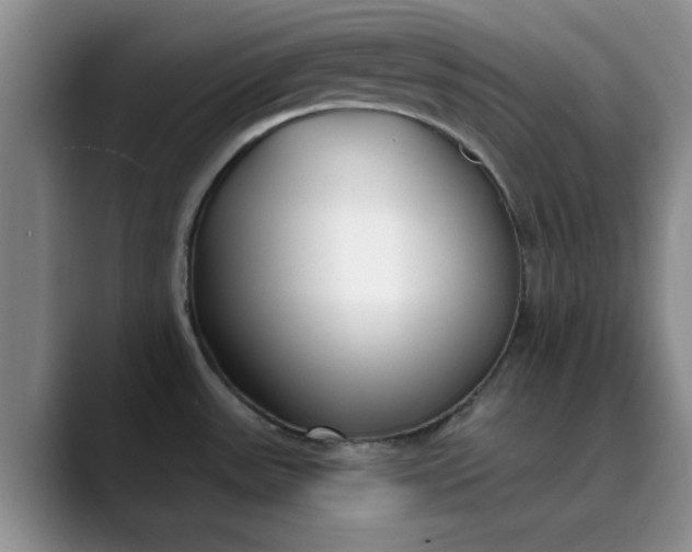 X0000089901531200707121840