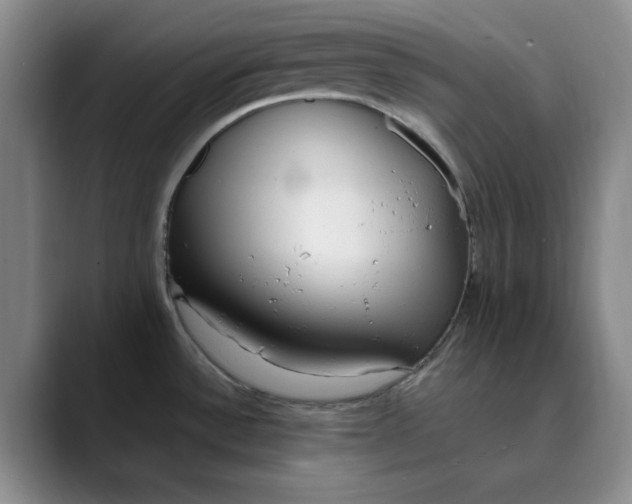 X0000089901532200707121840