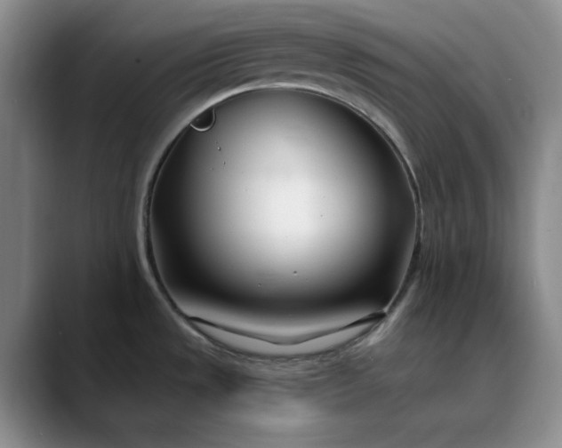 X0000089901533200707121840