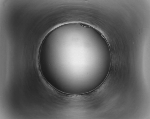 X0000089901534200707121840