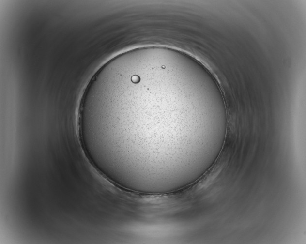 X0000089901535200707121840