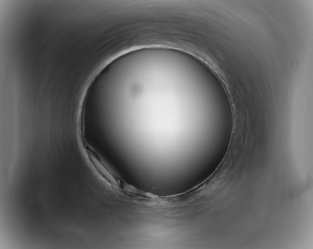 X0000089901536200707121840
