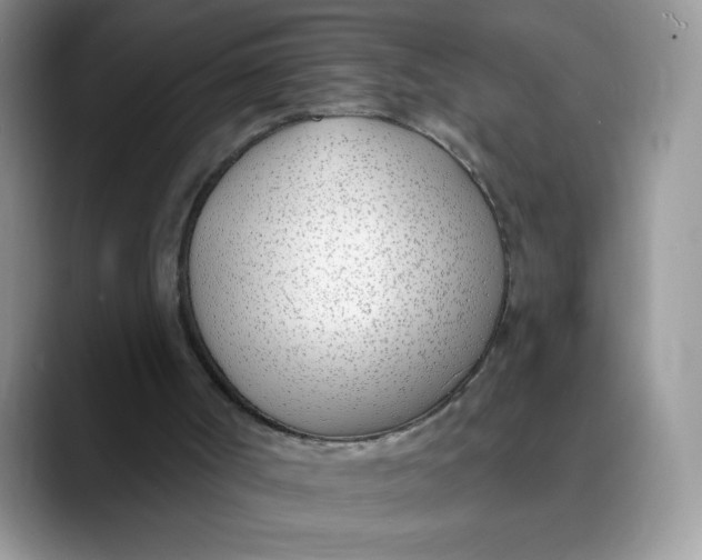 X0000089900002200707192041