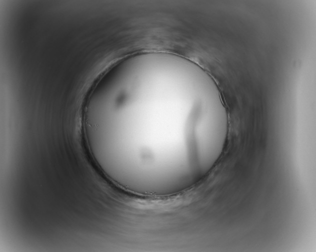 X0000089900005200707192041