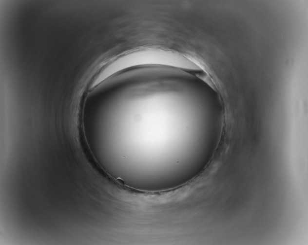 X0000089900007200707192041