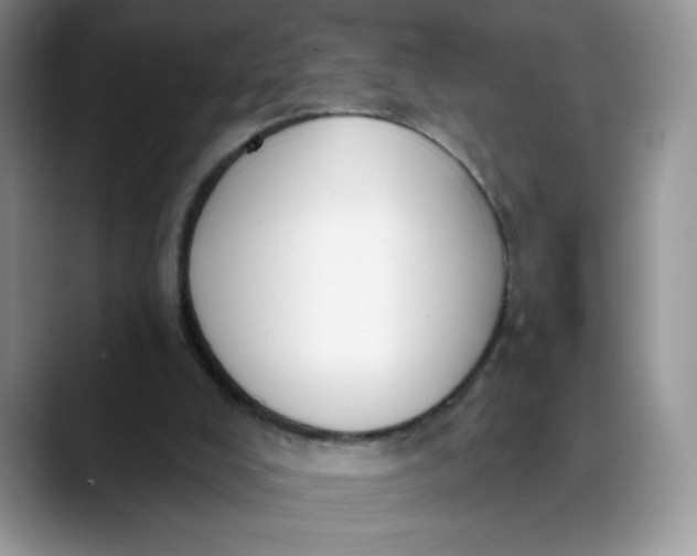 X0000089900008200707192041