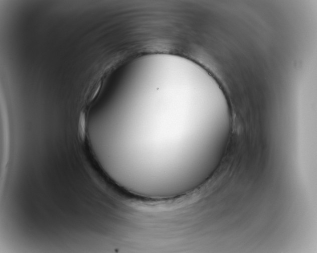 X0000089900013200707192041