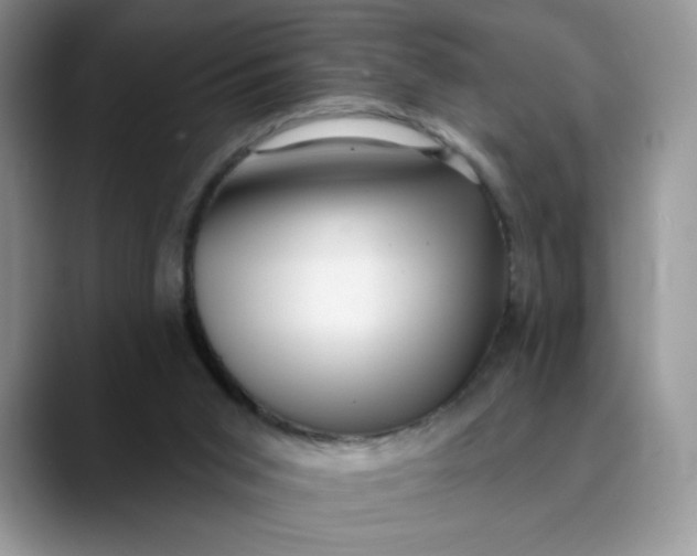 X0000089900015200707192041