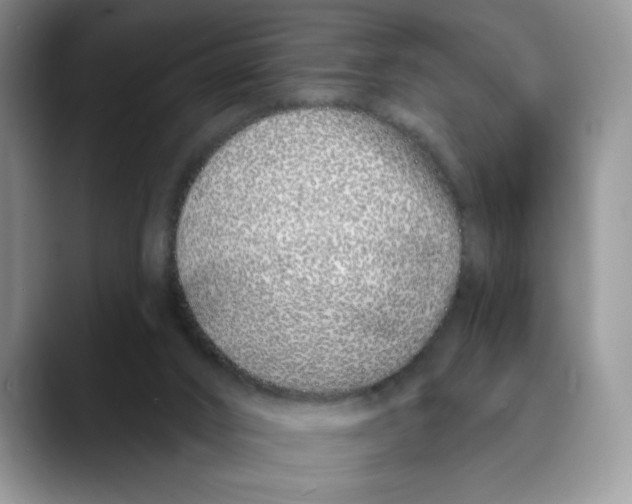X0000089900016200707192041