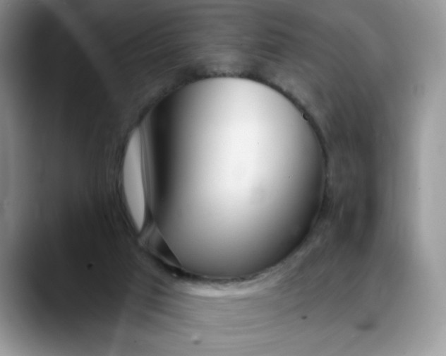 X0000089900017200707192041