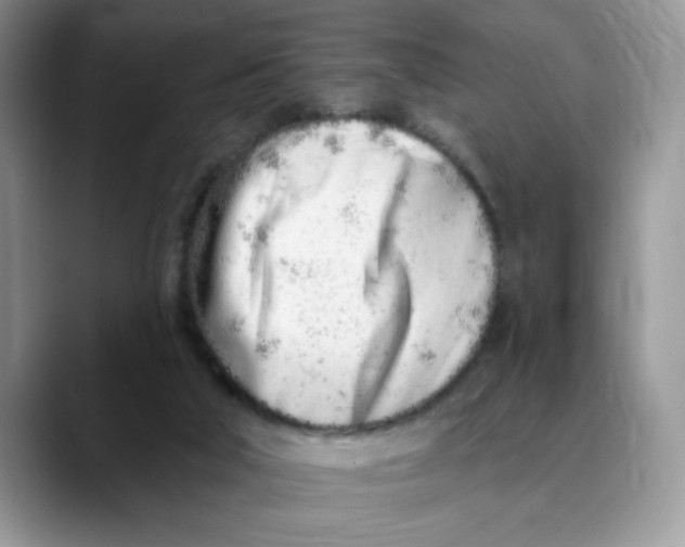 X0000089900018200707192041