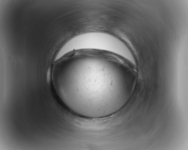 X0000089900019200707192041
