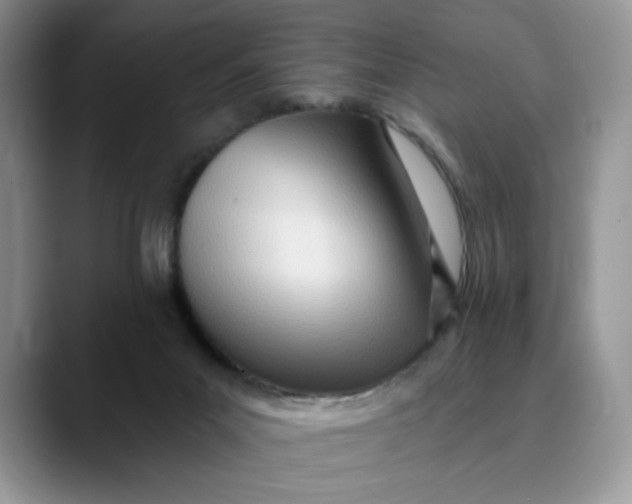 X0000089900023200707192041