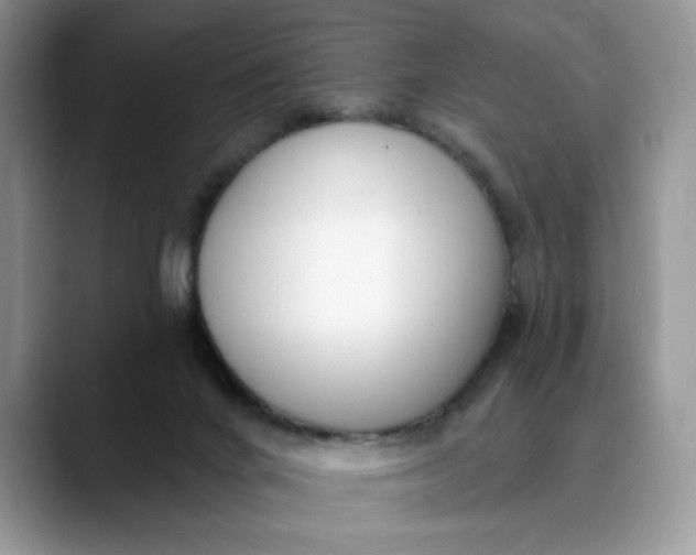 X0000089900024200707192041
