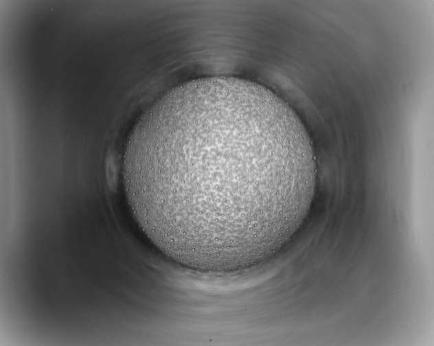 X0000089900026200707192041