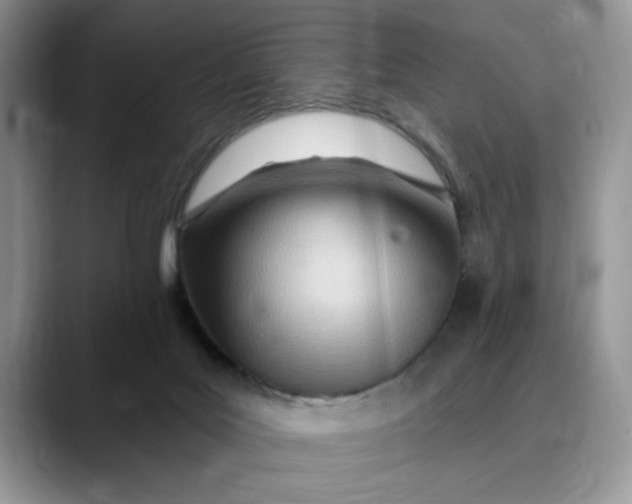 X0000089900027200707192041
