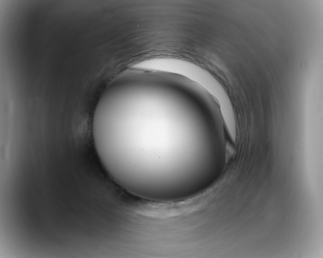X0000089900029200707192041