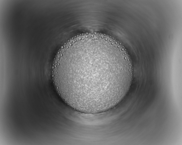 X0000089900030200707192041