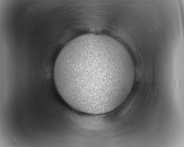 X0000089900032200707192041