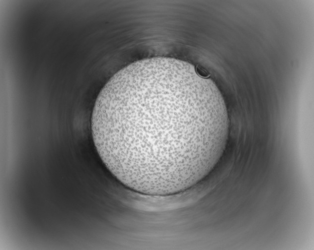 X0000089900034200707192041