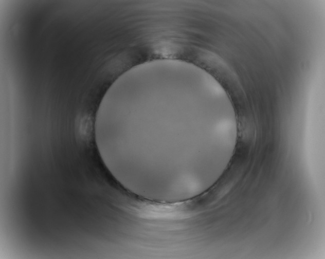 X0000089900036200707192041