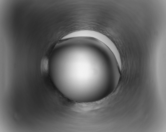 X0000089900041200707192040