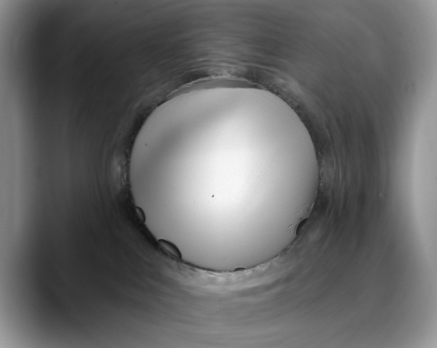X0000089900043200707192040