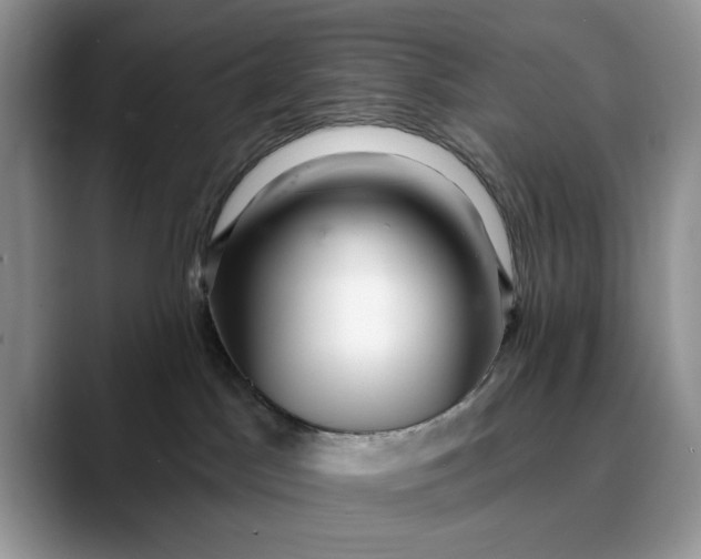 X0000089900045200707192040
