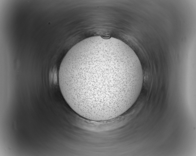 X0000089900046200707192040