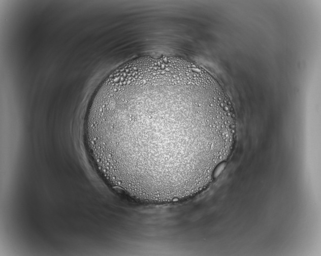 X0000089900049200707192040