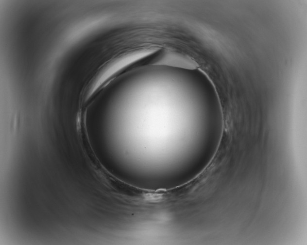 X0000089900052200707192040