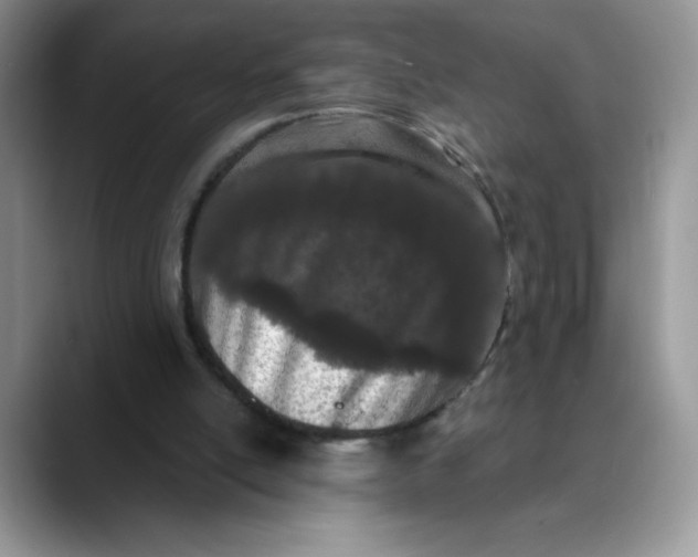 X0000089900054200707192040