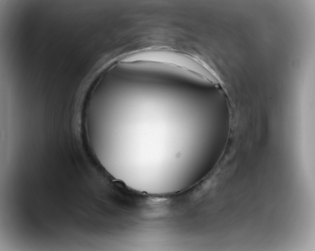 X0000089900055200707192040