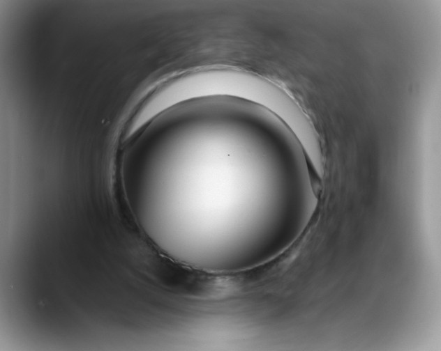 X0000089900056200707192040