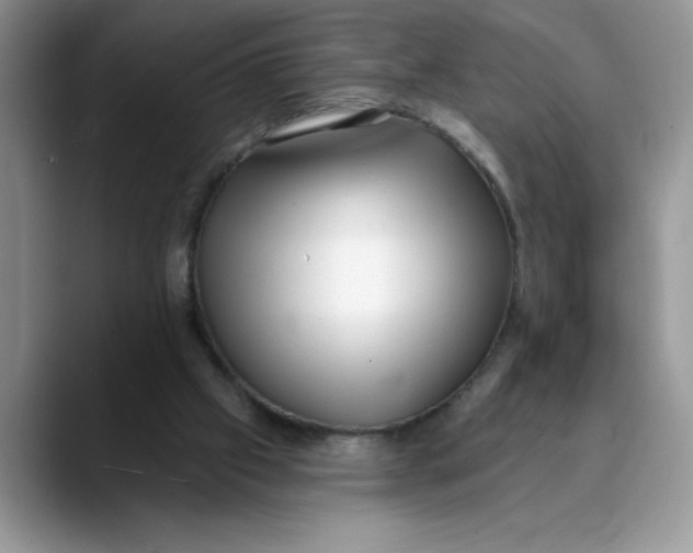 X0000089900057200707192040